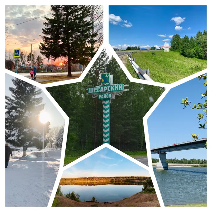 collage Шегарский район